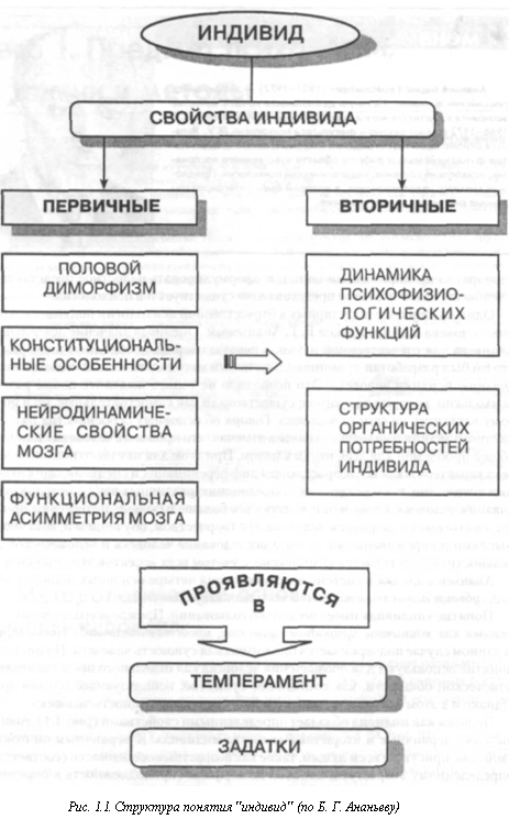 Методологические основы изучения человека