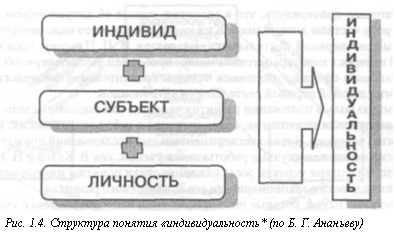 Науки о человеке и человечестве