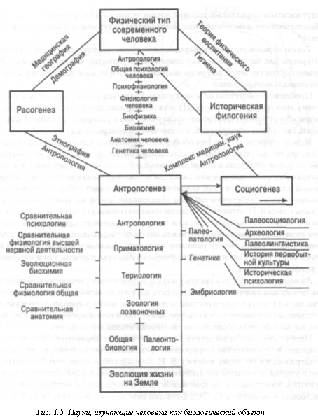 Науки о человеке и человечестве