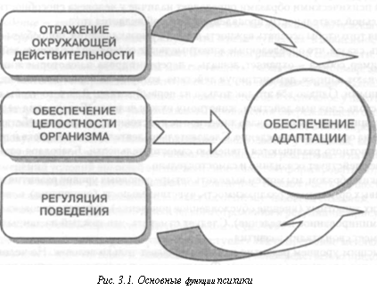 Понятие о психике