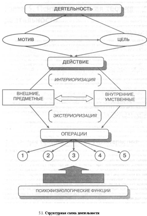 Общая психологическая характеристика деятельности