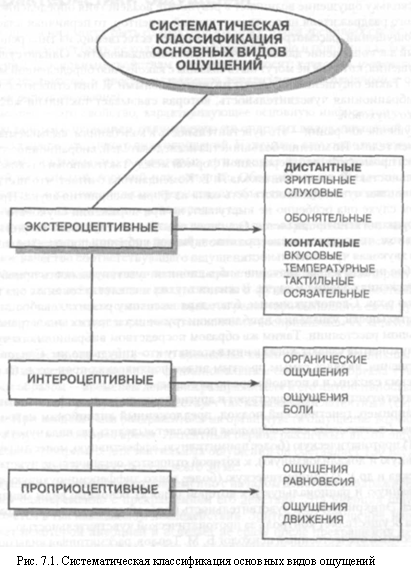 Виды ощущений