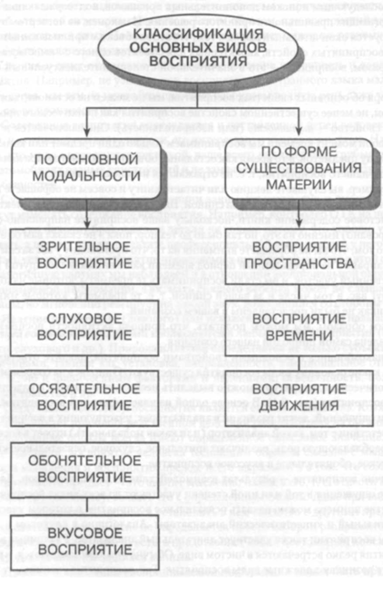 Основные свойства и виды восприятия