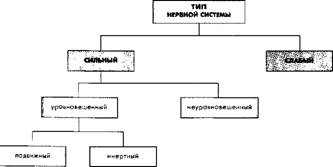 ГЕМПЕрДМЕНТ И ЕГО ПрОЯВЛЕНИЯ