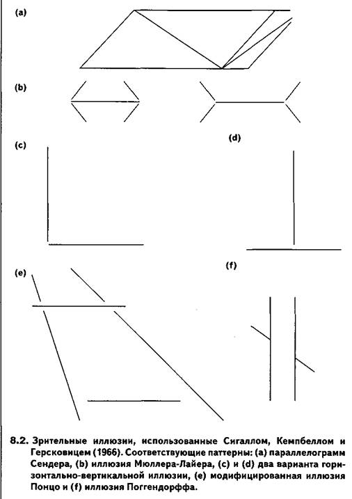 Способность восприятия зрительных иллюзий