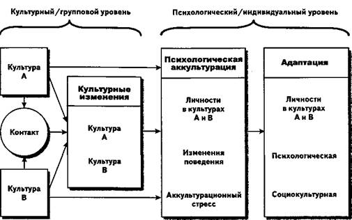 Общая структура