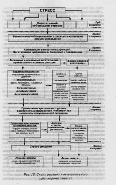 Стрессовый кризис первого ранга — вегетативные системы организма &#171;обслуживают&#187; психику